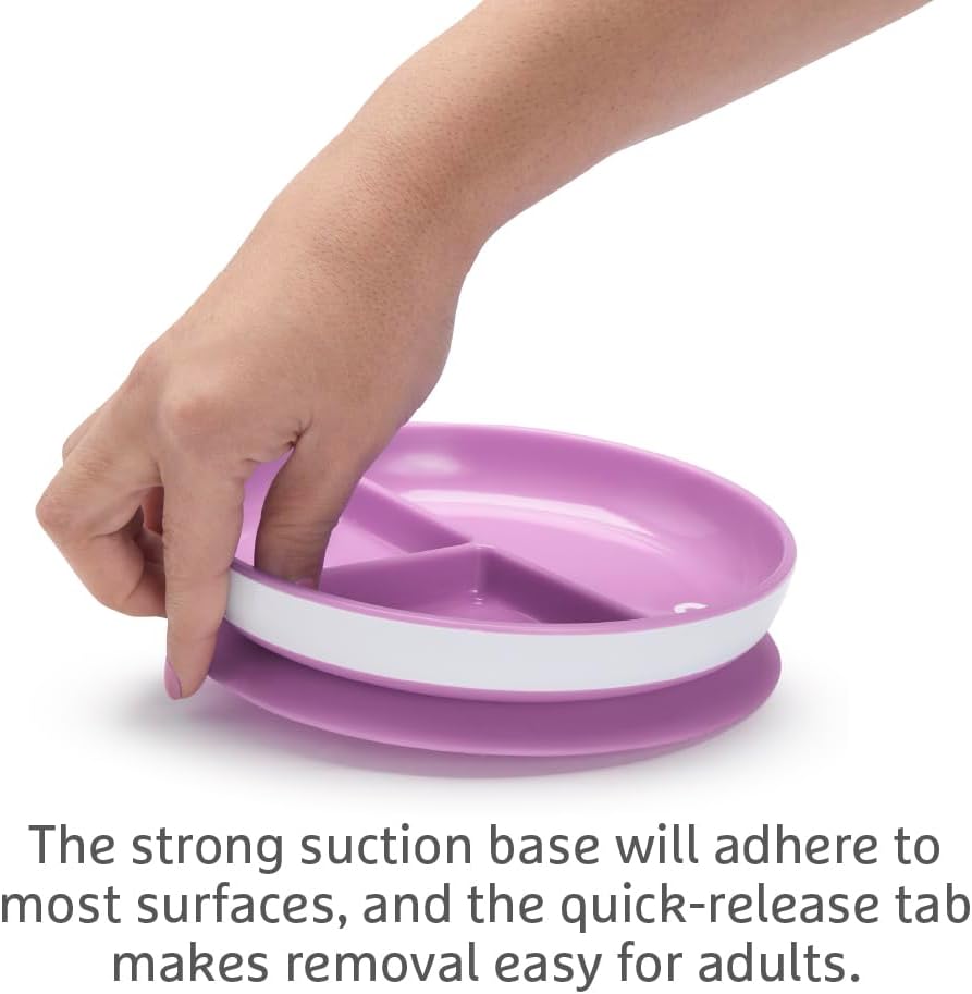 Munchkin Stay Put Divided Plates| Kids Divided Plate Set| Baby & Toddler Plate with Compartments|Suction Plate for Babies 6 Months & Over| BPA Free Plate| Baby Weaning Plate| 2 Pack| Pink/Purple